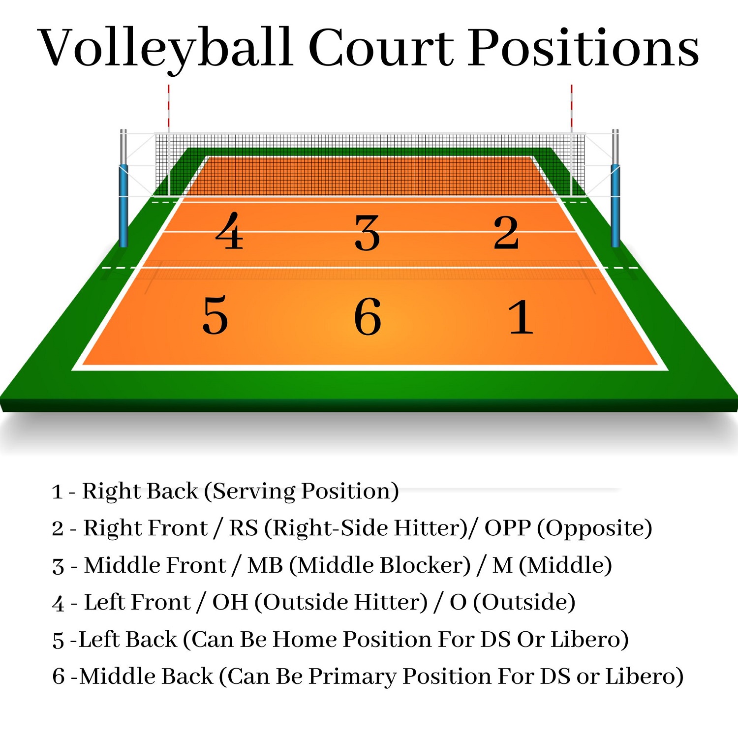 Girls Volleyball Positions VB Player Positions + Numbered Court